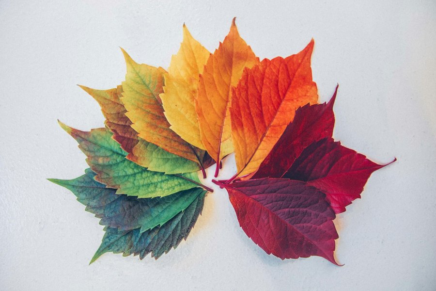 How to Create Effective Seasonal Advertising